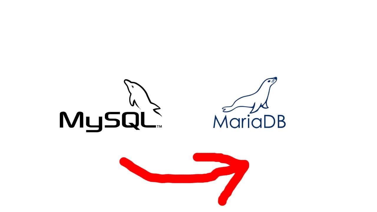 为什么我是从 MySQL 用户迁移到 MariaDB 用户